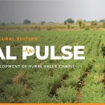 Rural Pulse | Inaugural Edition | April 2026